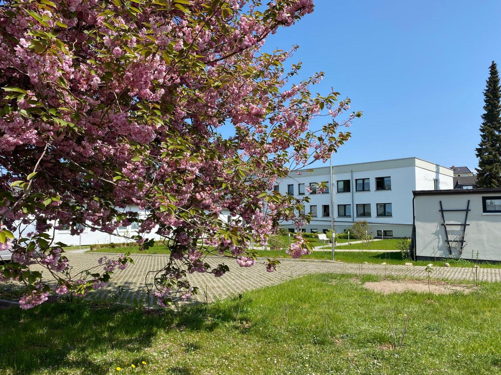 Apartment-Ferientiet Bergen Auf Rugen Exterior photo